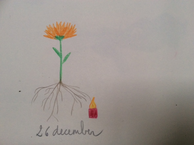 bloem